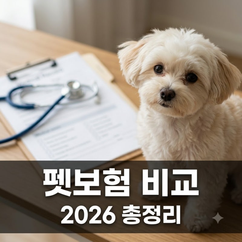 펫보험 비교 가이드 2026 주요 상품 보장과 할인 혜택 총정리