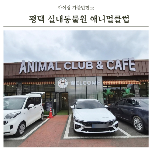 평택 실내동물원 애니멀클럽 아이랑 가볼만한곳 동물 먹이주기부터 놀이시설까지