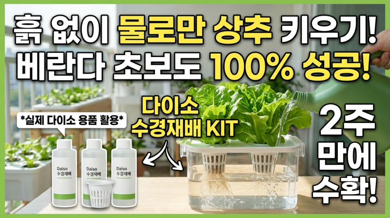 흙 없이 물로만 상추를 키운다고? 베란다 텃밭 초보도 100% 성공하는 다이소 수경재배