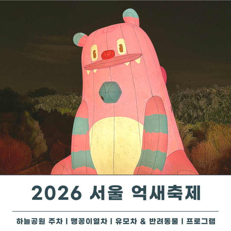 서울 하늘공원 억새축제 일정 기간 주차 강아지 맹꽁이열차 총정리