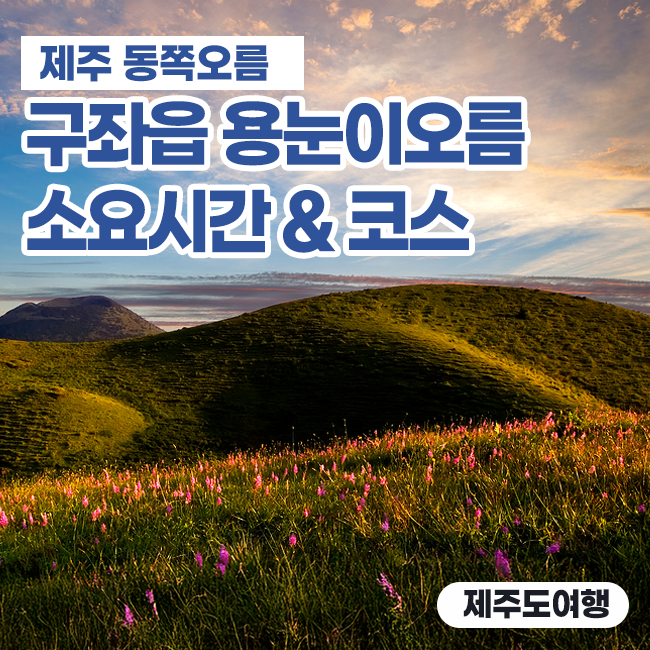 구좌읍 용눈이오름 소요시간과 초보자 걷기 코스