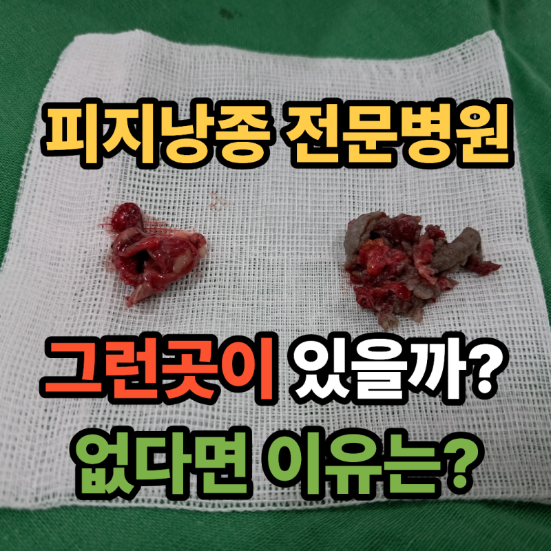 피지낭종 전문병원이 없는 이유, 외과전문의가 이야기해드립니다