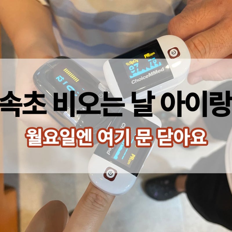 속초 아이랑 2박 3일, 비 오는 날 2번 겪은 동선 (오징어난전부터 국립산악박물관까지)