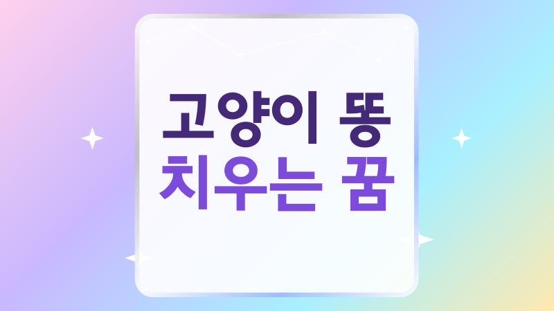 고양이 똥 치우는 꿈, 재물운과 마음 정리로 읽는 해몽