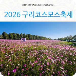 구리코스모스축제 2026 구리한강시민공원