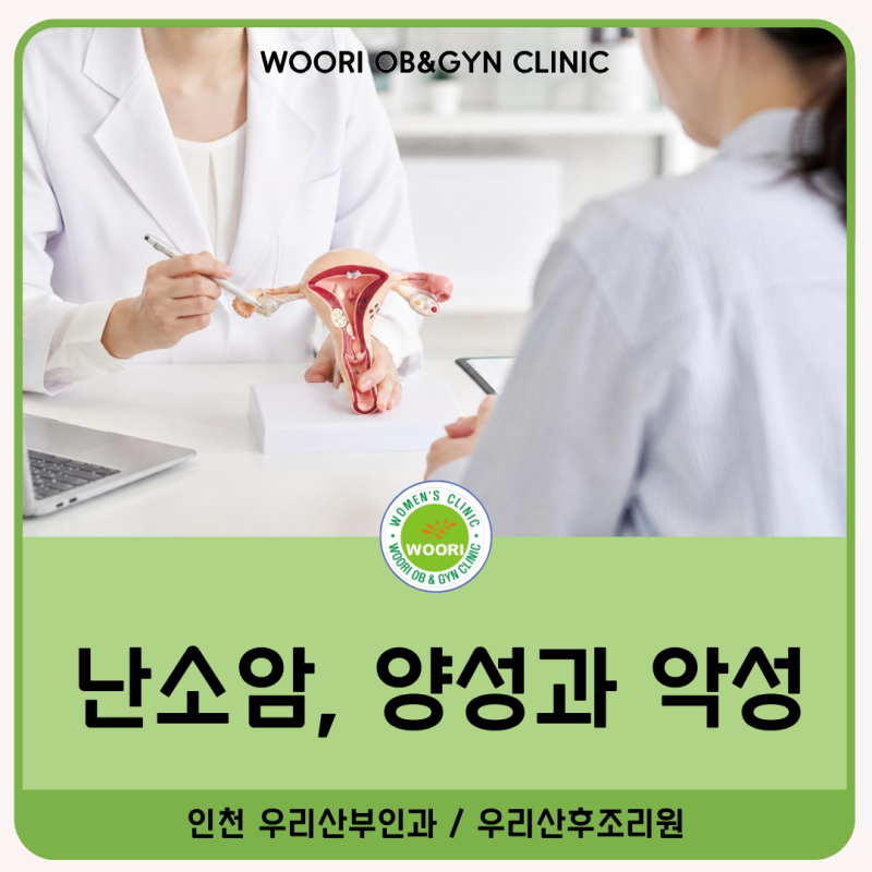 난소에 혹이 있다는 말을 들었는데, 난소암일까요? 초음파로 보는 양성과 악성 구분 기준