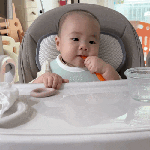 초기이유식 식단표 1주차 쌀미음부터 오트밀미음 소고기 큐브까지