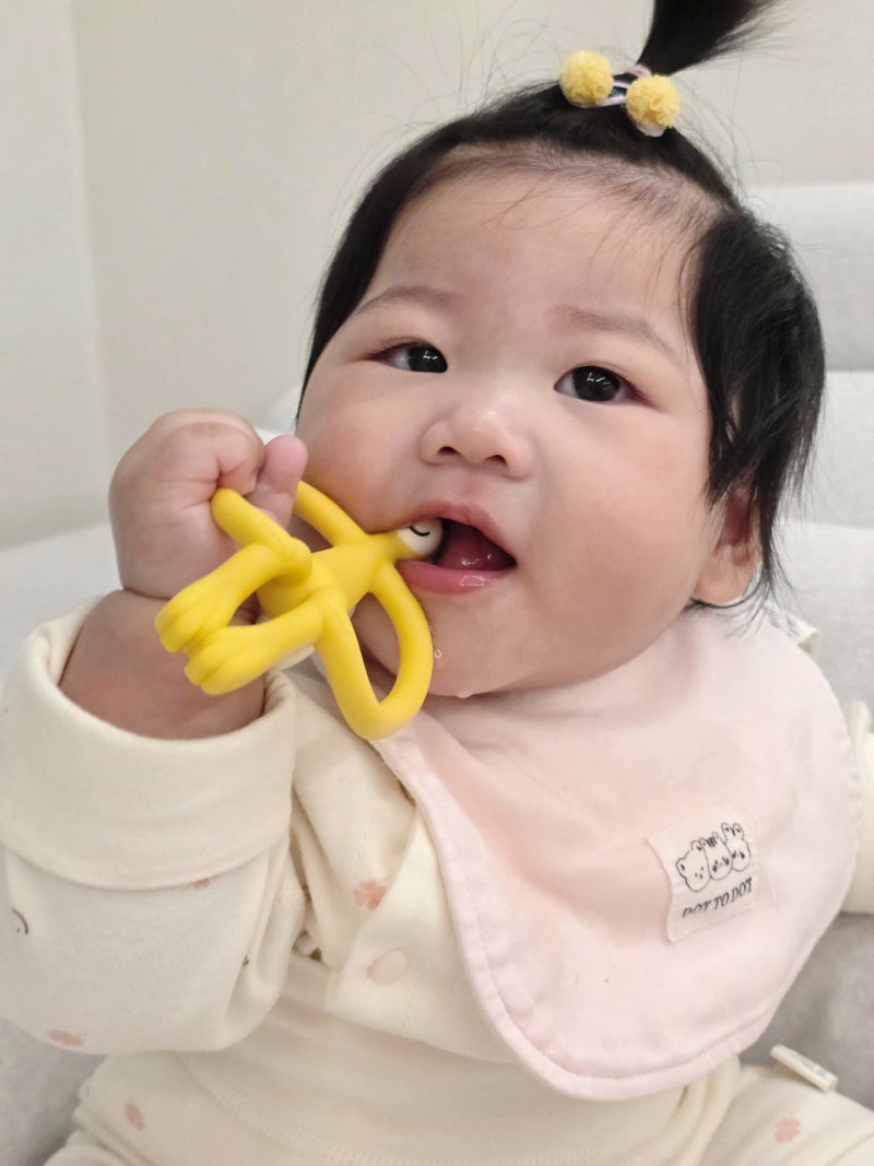아기 치발기 추천! 아랫니 나기 시작할 때 고른 매치스틱몽키 후기