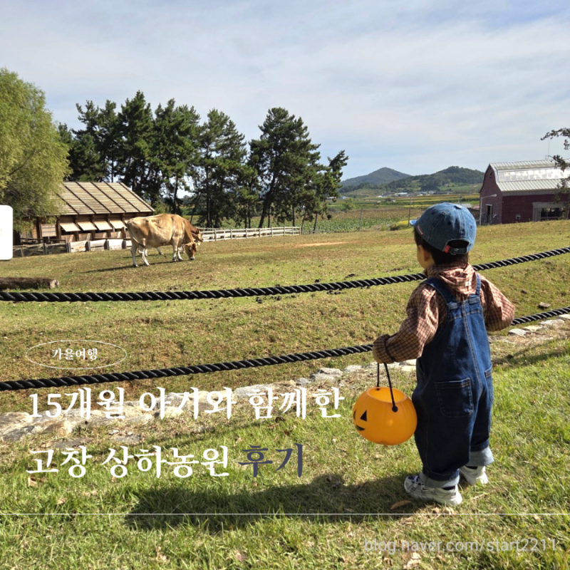15개월 아기와 고창 상하농원｜할로윈·소시지축제 주차, 입장료