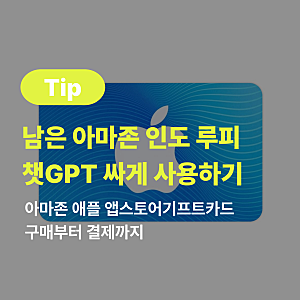 인도 루피로 챗지피티 ChatGPT 싸게 쓰는 법｜아마존 애플 앱스토어기프트카드 구매부터 결제....