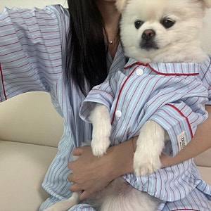 도씨 실크핏 클로에 잠옷 | 강아지랑 커플 잠옷 내돈내산 후기
