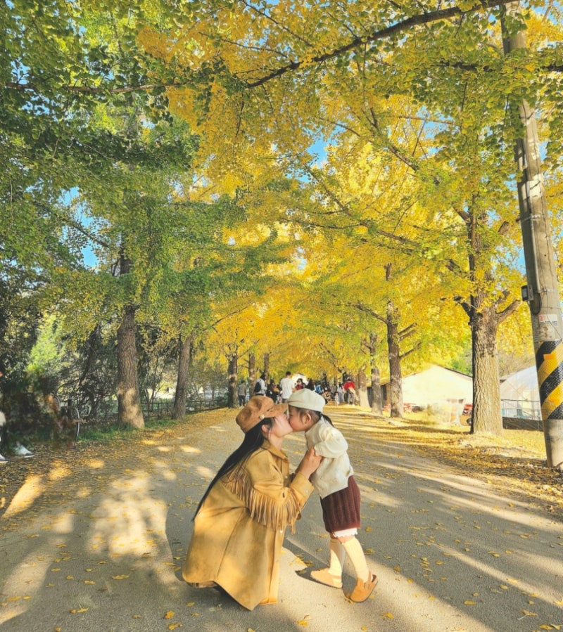 대구 근교 아이와 가볼만한곳 8곳, 부산 부캉이까지 가을 여행지 총정리