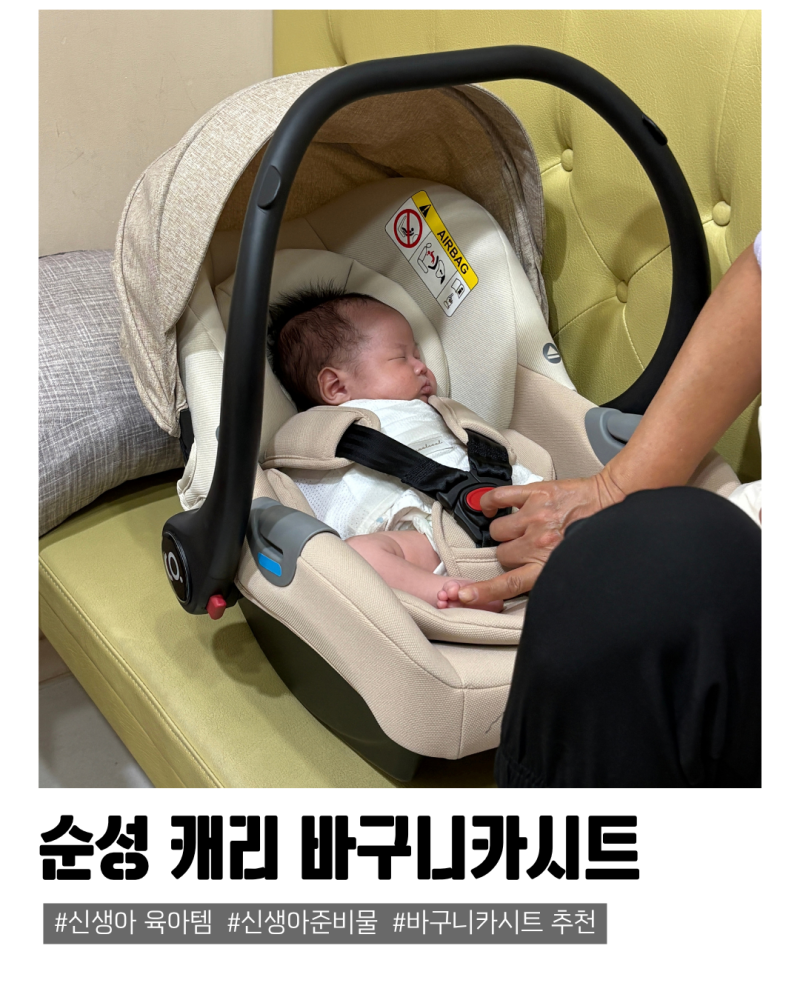 베이비페어 순성 신생아 바구니 카시트 구매후기, 내돈내산 실사용후기