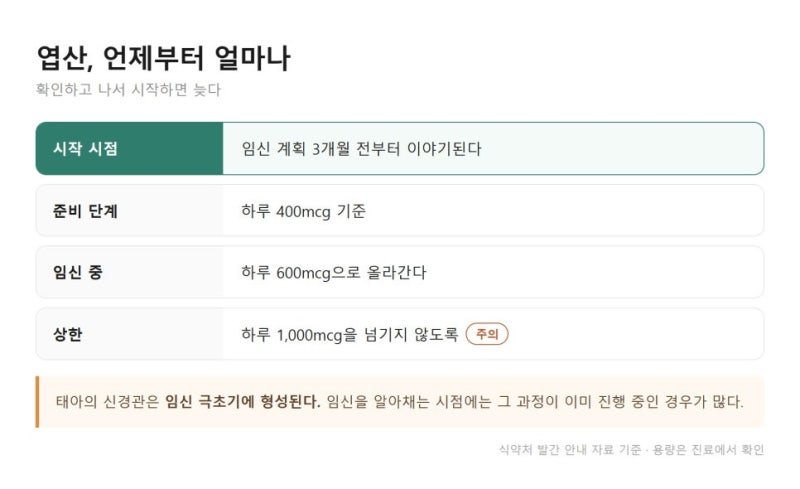 임신 준비 엽산, 확인하고 먹으면 늦습니다