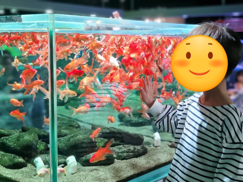 일산 빵집 오렌지아쿠아│아이랑 갈만한 곳, 아쿠아리움 대형카페 추천