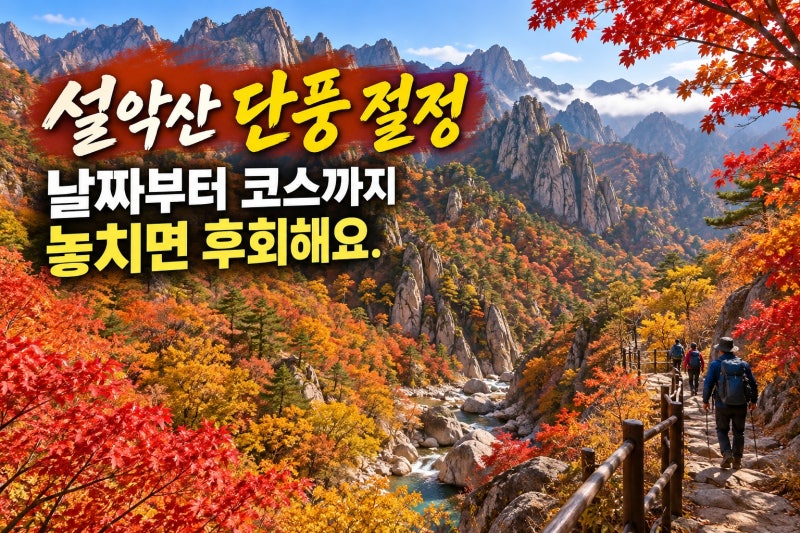 2026 설악산 단풍 절정은 언제? 흘림골·주전골 실패 없이 즐기는 날짜와 코스