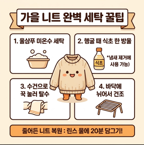 [살림꿀팁] 묵혀둔 가을 니트 퀴퀴한 냄새 & 보풀 싹 없애는 초간단 세탁 비법 세탁소 갈 필....