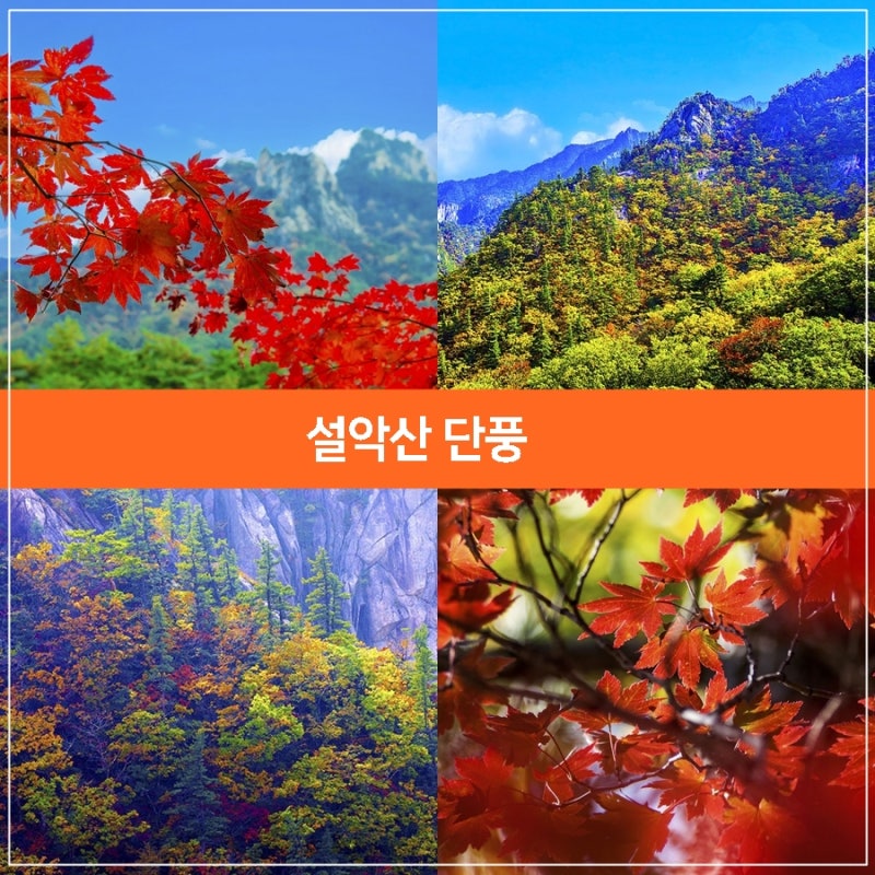 설악산 단풍, 설악산 케이블카 정보, 설악산 권금성 케이블카 및 단풍 정보