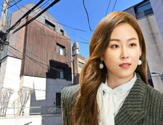 서현진 전세사기 26억 보증금 못받을 수도