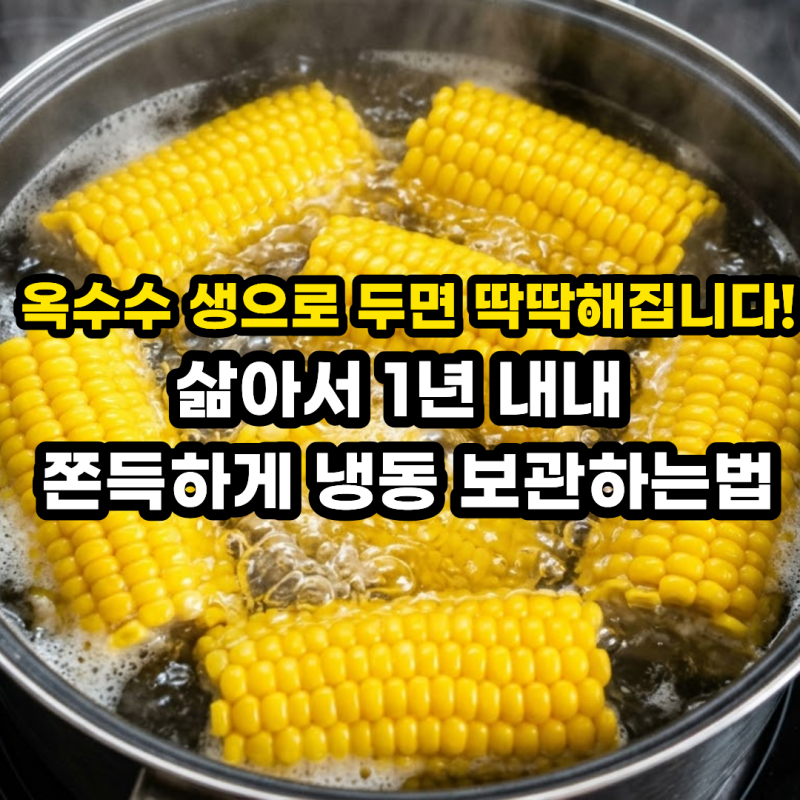 옥수수 삶는법 & 맛있게 찌는법! 삶은 옥수수 냉동 보관법 데우기 꿀팁