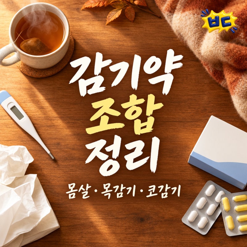몸살엔 갈근탕, 목감기엔 플루비프로펜, 코감기엔 세트리진, 증상별 감기약 조합 정리