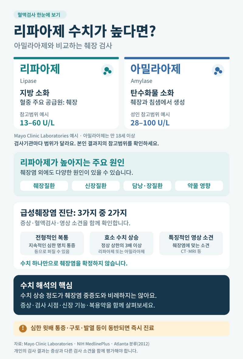 리파아제 수치 높으면?｜정상범위·아밀라아제 차이·췌장염 검사 해석