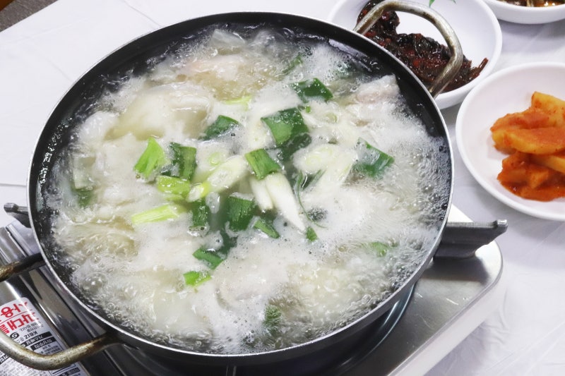 속초 물곰탕 맛집_속초곰치국
