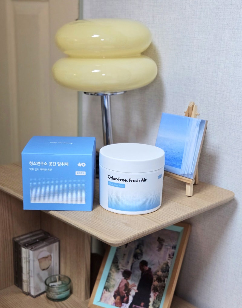 고체탈취제 하나로 환절기 냄새잡기, 남동생 방부터 화장실 냄새 신발장까지!