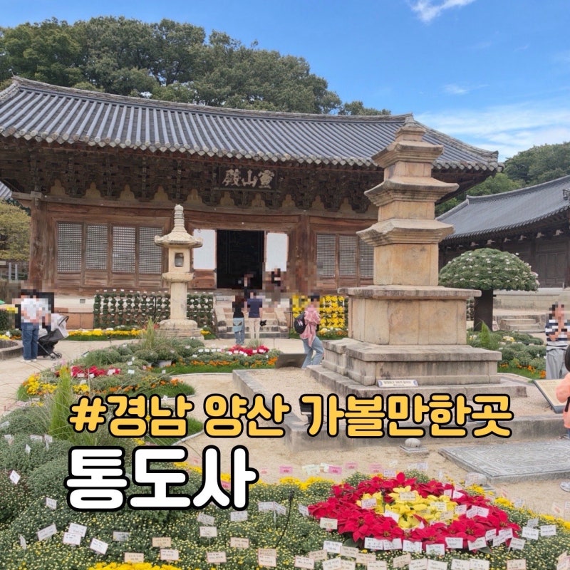 경남 양산 가볼만한곳 통도사 울산 근교 가을 여행 추천
