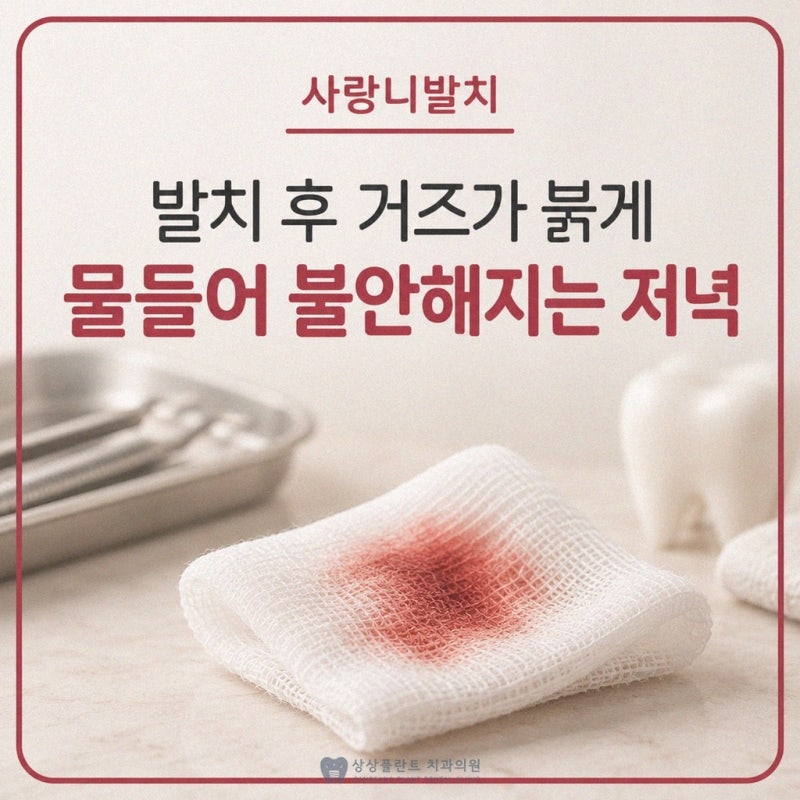 고양시사랑니발치, 발치 후 지혈 과정과 출혈 시 주의 사항