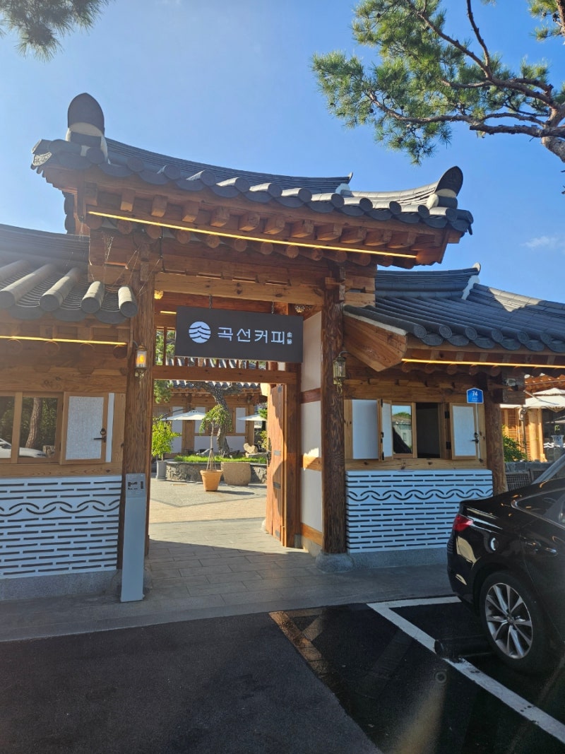[내돈내산]대구 근교 대형카페｜드라이브하기 좋은 영천 은해사 주변 카페 곡선커피