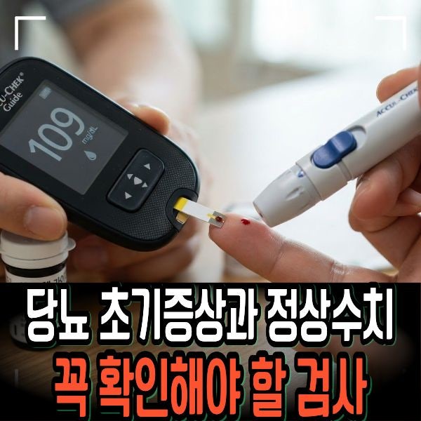당뇨 초기증상과 정상수치, 꼭 확인해야 할 검사