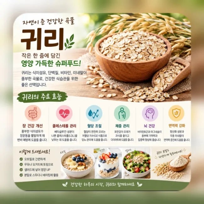 세계 10대 슈퍼푸드 귀리 효능 | 당뇨 환자도 안심하고 먹는 오트밀 선택법