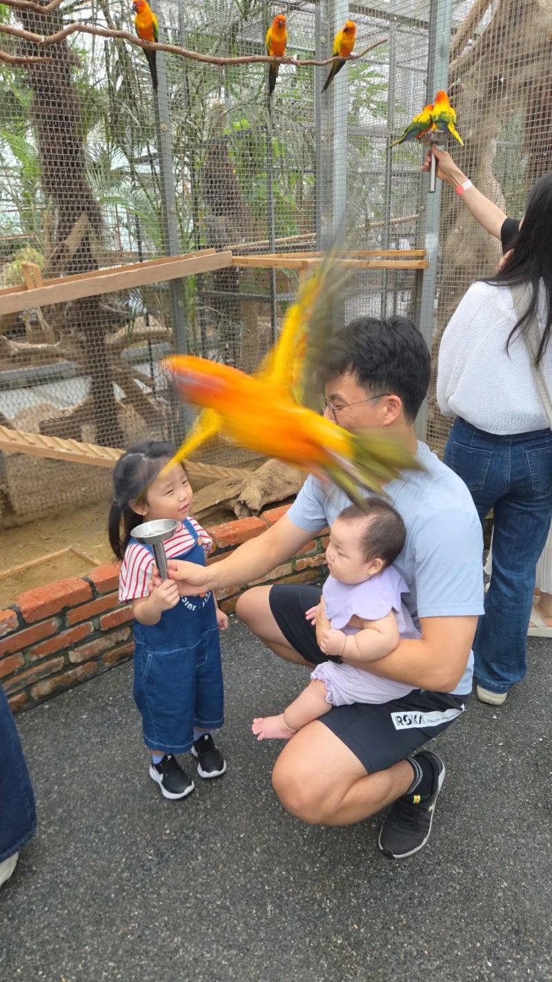 가평베고니아새정원(가평아이랑갈만한곳,경기도아이랑갈만한곳,가족여행 추천)