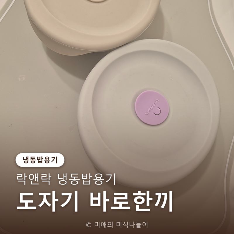 락앤락 냉동밥용기 추천, 아기 밥 이젠 미세플라스틱 걱정 없어요