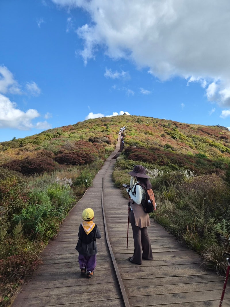 4살 아이랑 등산 후기 - 지리산 노고단 등반 성공️ 4 살이랑도 충분히 할만하다(후기, 예약팁....
