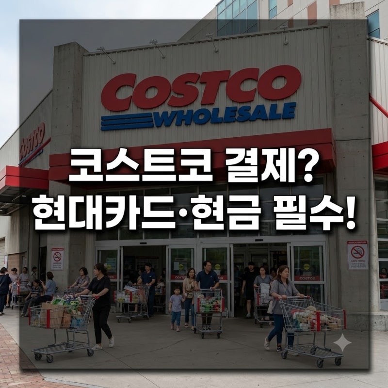 코스트코 결제 신용카드 현대카드 할인 혜택 상품권 구매 | 회원권 없이 이용하는 핵심 꿀팁