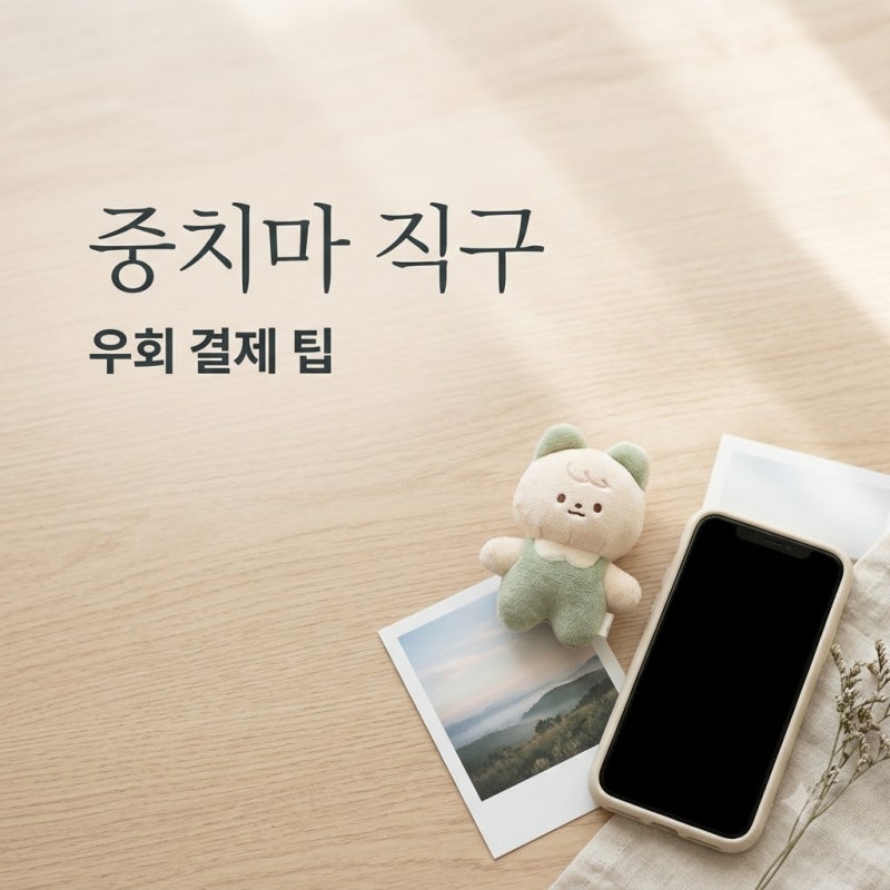중치마 직구 방법 타오바오 우회 결제부터 배대지 설정까지 완벽 정리