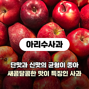 아리수사과 뜻 특징 맛 수확시기
