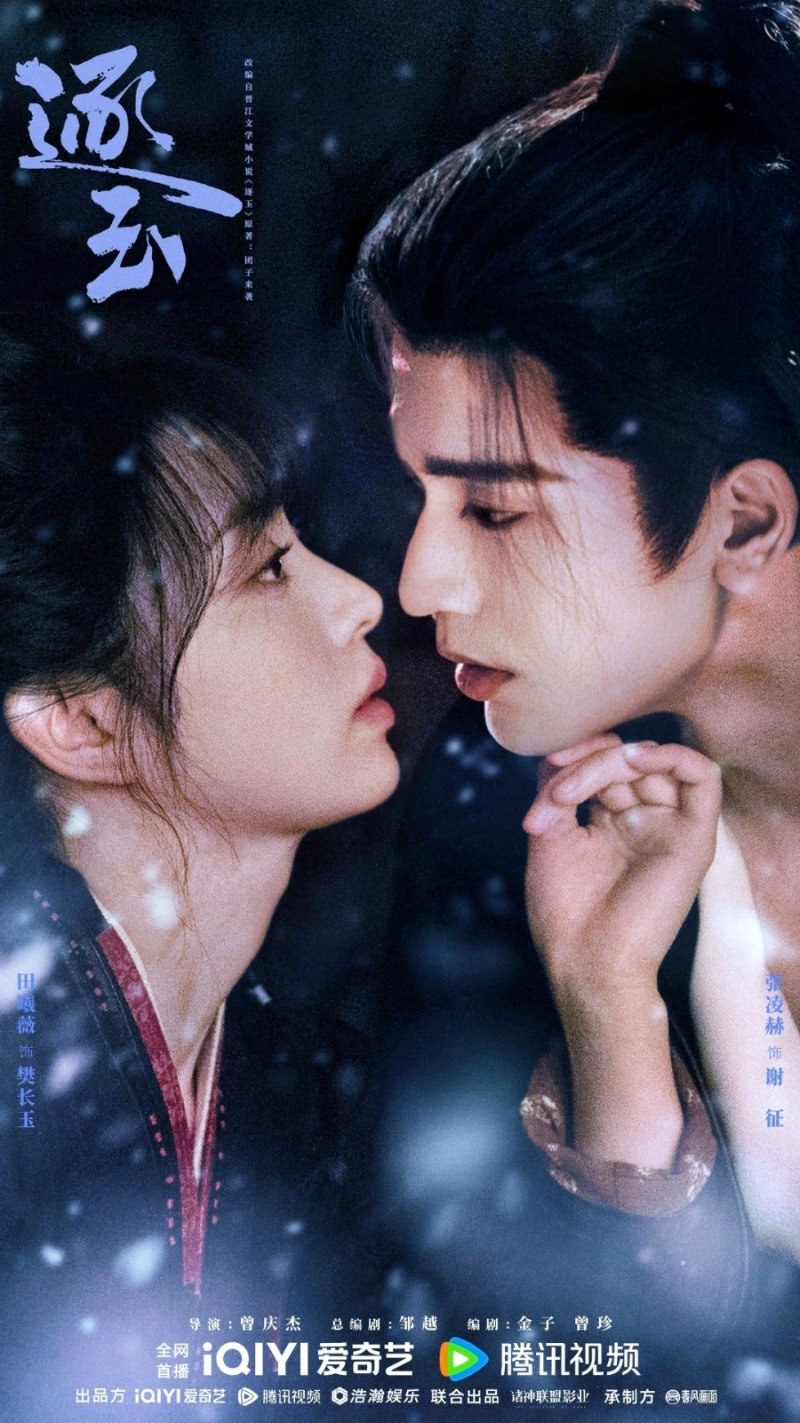 넷플릭스 중드 추천 BEST 7, 요즘 한국에서 인기 많은 중국 드라마