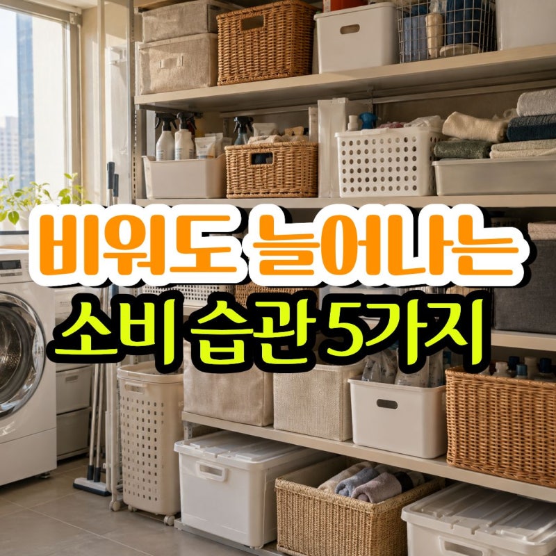 미니멀라이프 하나 사면 두 개를 버려도 물건이 늘어나는 소비 습관 5가지