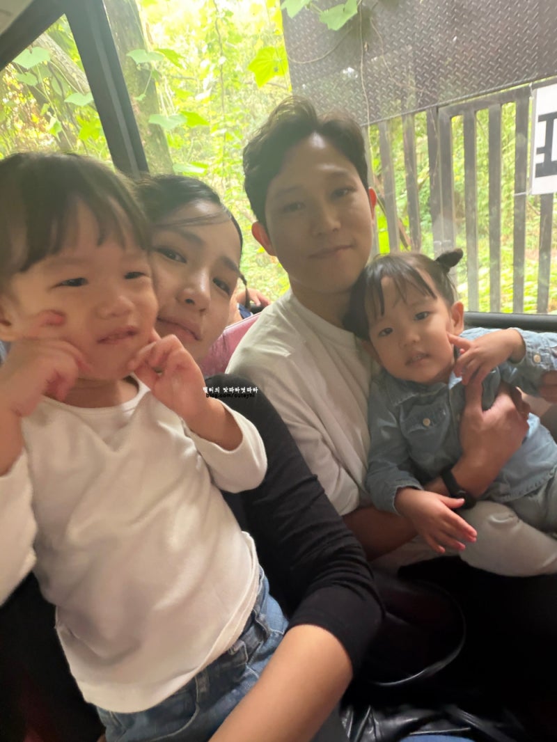 대전 오월드 두돌 아기와 방문 후기｜사파리·버드랜드, 90cm 이하 놀이기구까지
