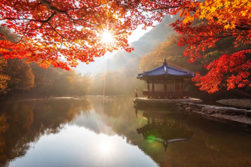 2026년 단풍 시기별 추천 여행지 4곳