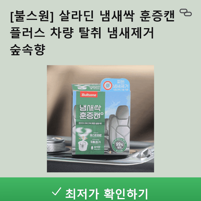 차 안의 쿰쿰한 냄새, 고민만 하고 계신가요? 불스원 살라딘 훈증캔으로 상쾌하게 해결하세....