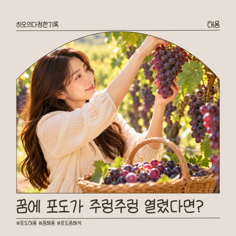 포도 태몽 뜻, 포도 따는 꿈·먹는 꿈 아들일까 딸일까?