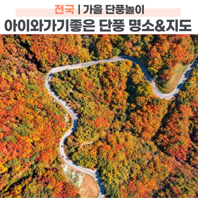 2026 전국 단풍절정시기 산림청 검색방법과 아이와 가볼만한곳 드라이브코스