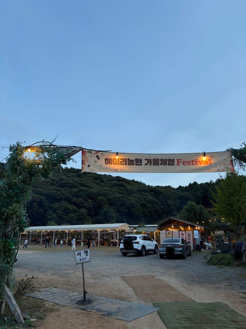 파주 헤이리농원 밤줍기 체험 후기(내돈내산)