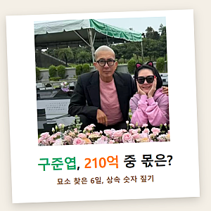 구준엽 서희원 묘소 방문 사진, 210억 상속 얘기보다 먼저 확인할 두 가지