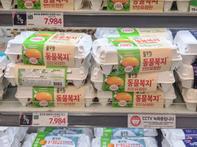 계란 유통기한 언제까지? 소비기한과 냉장 보관법 정리
