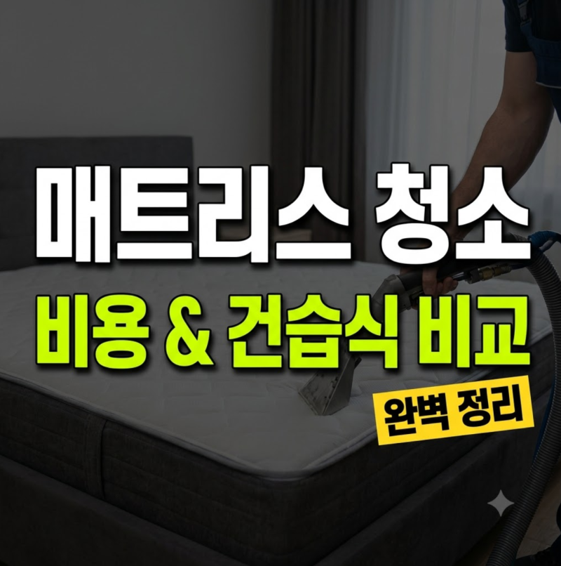 침대 매트리스 청소 업체 비용 및 건식·습식 차이 완벽 정리